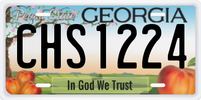 GA license plate CHS1224