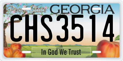 GA license plate CHS3514