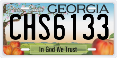 GA license plate CHS6133