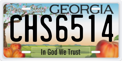 GA license plate CHS6514