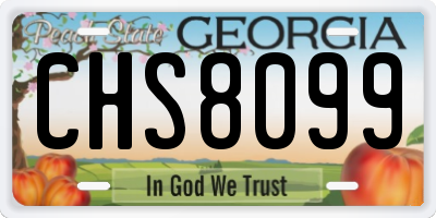 GA license plate CHS8099