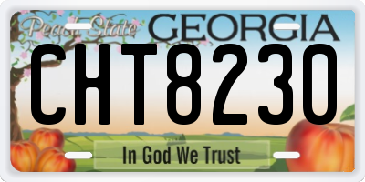 GA license plate CHT8230