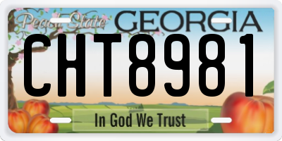 GA license plate CHT8981