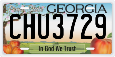 GA license plate CHU3729
