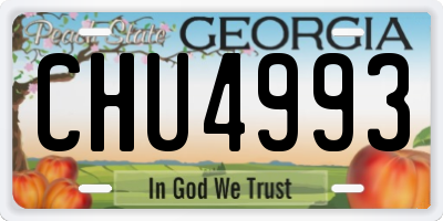 GA license plate CHU4993