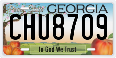 GA license plate CHU8709