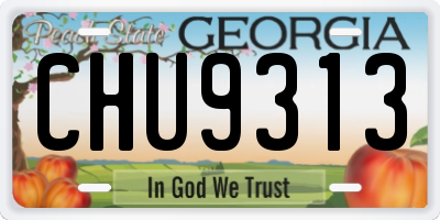 GA license plate CHU9313