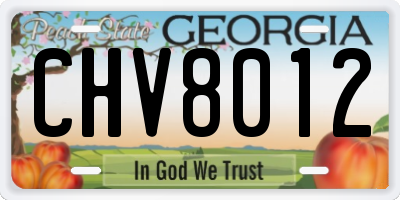 GA license plate CHV8012