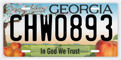 GA license plate CHW0893