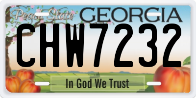 GA license plate CHW7232