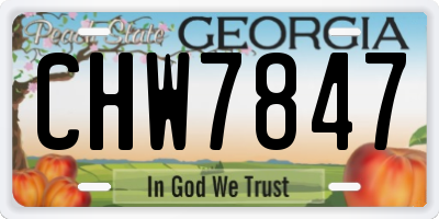 GA license plate CHW7847