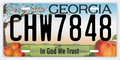 GA license plate CHW7848
