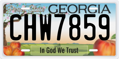 GA license plate CHW7859