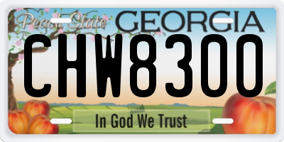 GA license plate CHW8300