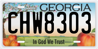 GA license plate CHW8303