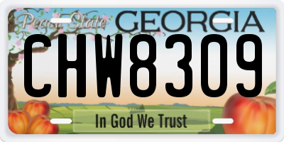 GA license plate CHW8309