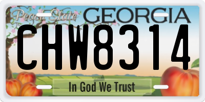 GA license plate CHW8314