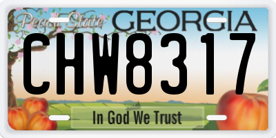 GA license plate CHW8317