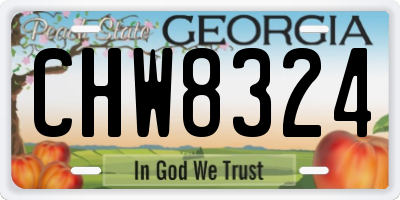 GA license plate CHW8324
