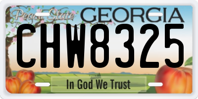 GA license plate CHW8325