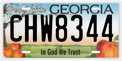 GA license plate CHW8344