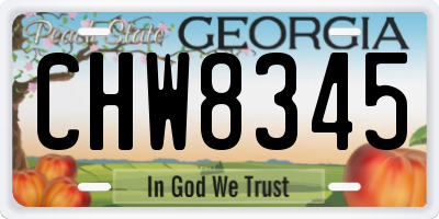 GA license plate CHW8345