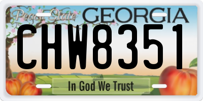 GA license plate CHW8351
