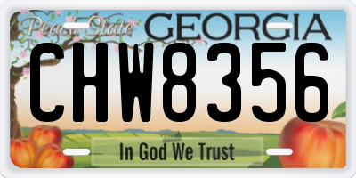 GA license plate CHW8356