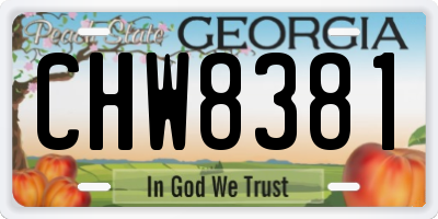 GA license plate CHW8381