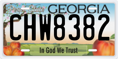 GA license plate CHW8382