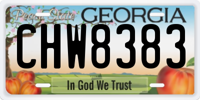 GA license plate CHW8383