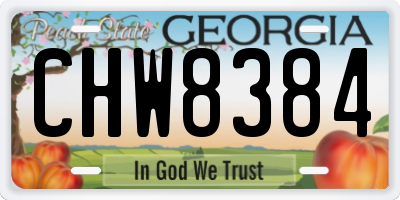 GA license plate CHW8384