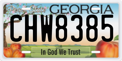 GA license plate CHW8385