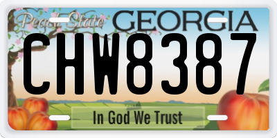 GA license plate CHW8387