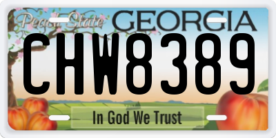 GA license plate CHW8389