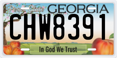 GA license plate CHW8391