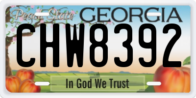 GA license plate CHW8392