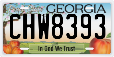 GA license plate CHW8393