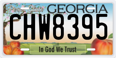 GA license plate CHW8395