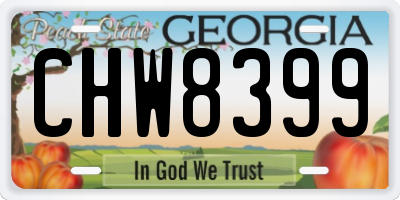 GA license plate CHW8399