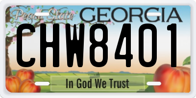 GA license plate CHW8401
