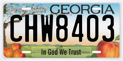 GA license plate CHW8403