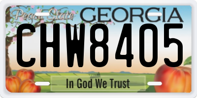 GA license plate CHW8405