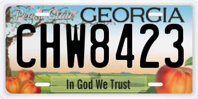 GA license plate CHW8423