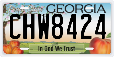 GA license plate CHW8424