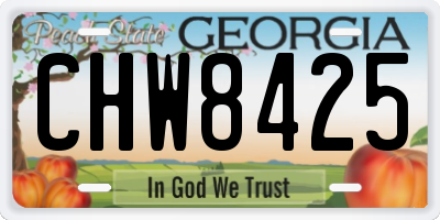GA license plate CHW8425
