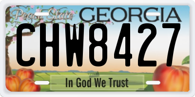 GA license plate CHW8427