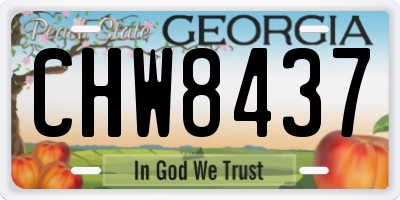 GA license plate CHW8437
