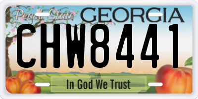 GA license plate CHW8441