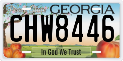GA license plate CHW8446
